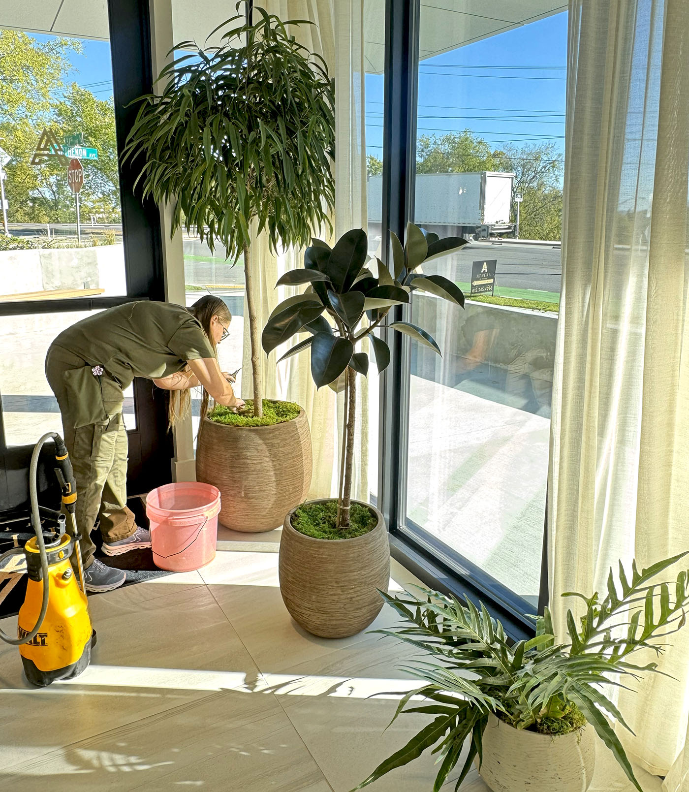 indoor plant care solutions